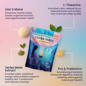 Yerba Mate - Natural Fat Burning