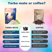 Yerba Mate - Natural Fat Burning